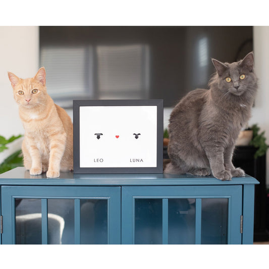 How to Take Your Cat's Nose Print Without Getting Scratched