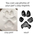 Before vs. after: Clay paw imprint and resulting paw print