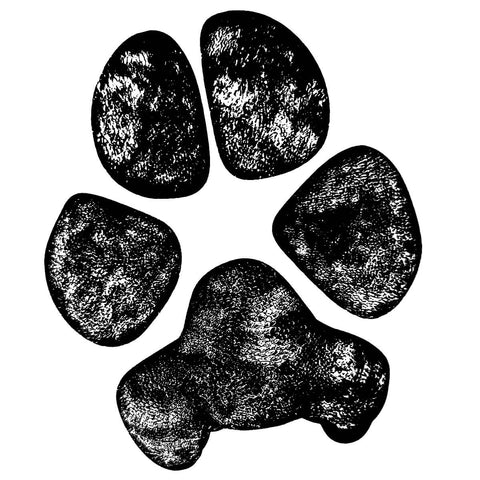 dog paw print close up illustration 