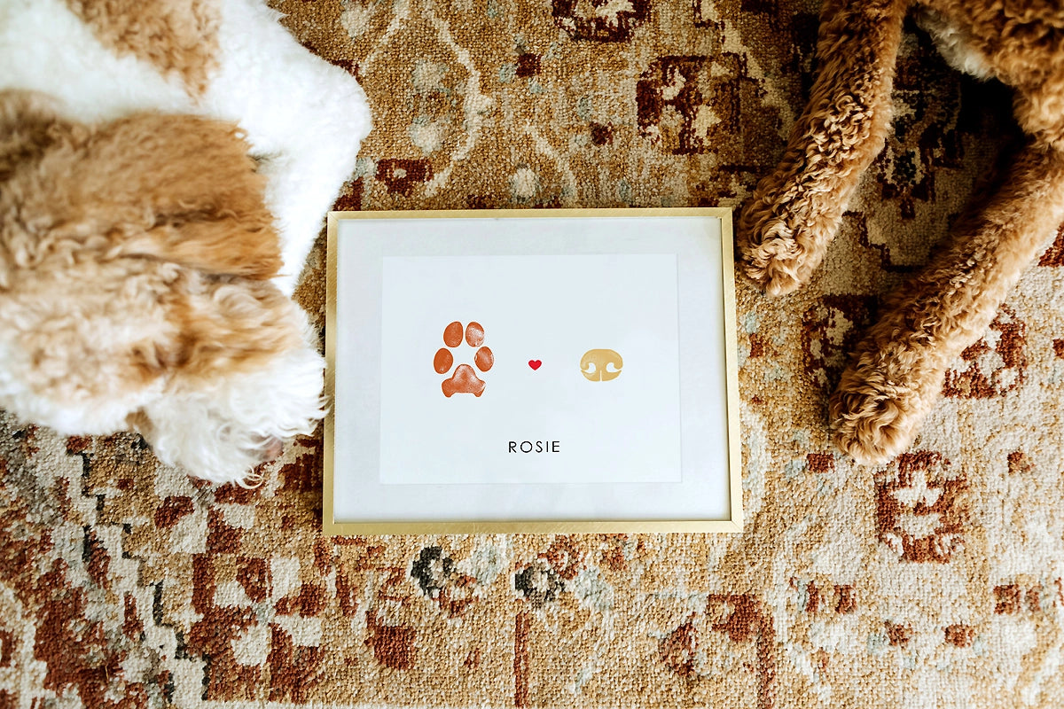 Two fluffy dogs lie on a patterned rug with a framed print between them. The print features a paw print, a heart, a nose, and the name