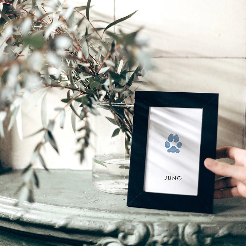A hand holds a black-framed picture with a blue paw print and