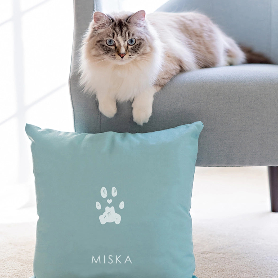 Fluffy cat with blue eyes reclines on a light blue armchair. In the foreground, a matching blue pillow with a paw print and