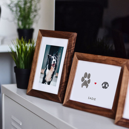 Taking Paw and Nose Print Photos for Personalized Pet Gifts