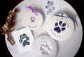 Which Paw Printing Method is Best? I Tried Them All