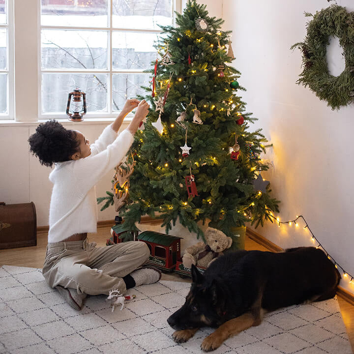 Best Gifts for Every Kind of Pet Owner