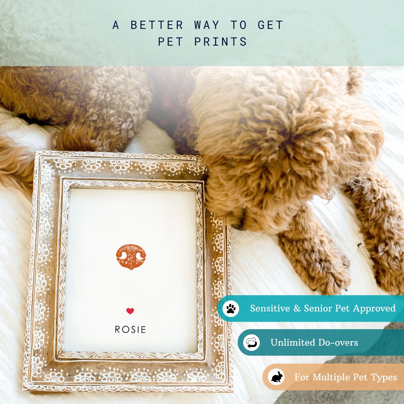 A curly-haired dog looks at a framed dogs paw print labeled "ROSIE" with a heart beneath. Text: "A Better Way to Get Pet Prints." Features include "Sensitive & Senior Pet Approved" and "Unlimited Do-overs" and "For Multiple Pet Types."