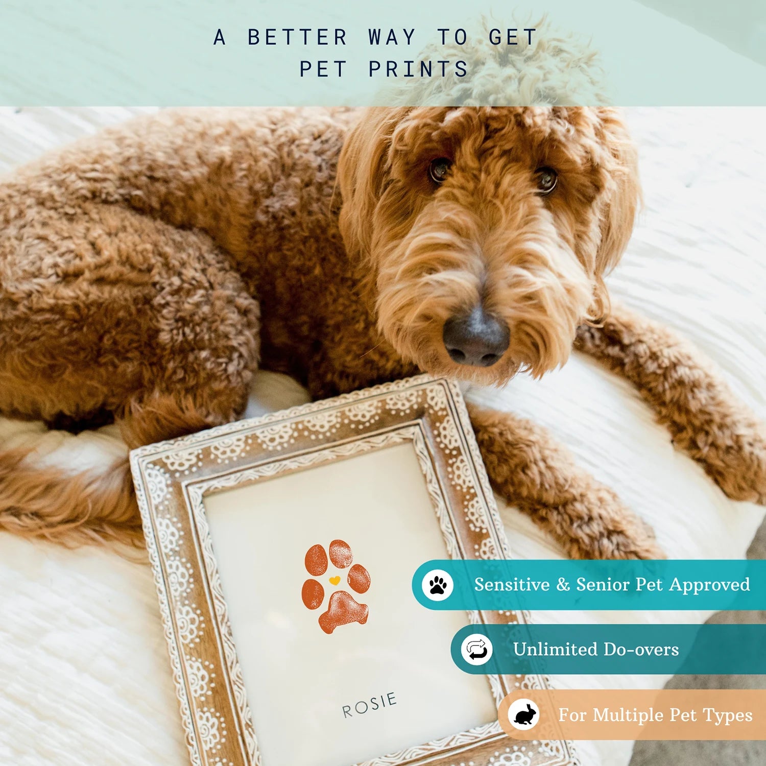 Fluffy brown doodle dog lying beside a framed paw print labeled "Rosie" on a white bedspread. Text highlights benefits: "Sensitive & Senior Pet Approved," "Unlimited Do-overs," "For Multiple Pet Types." Tone is warm and inviting.