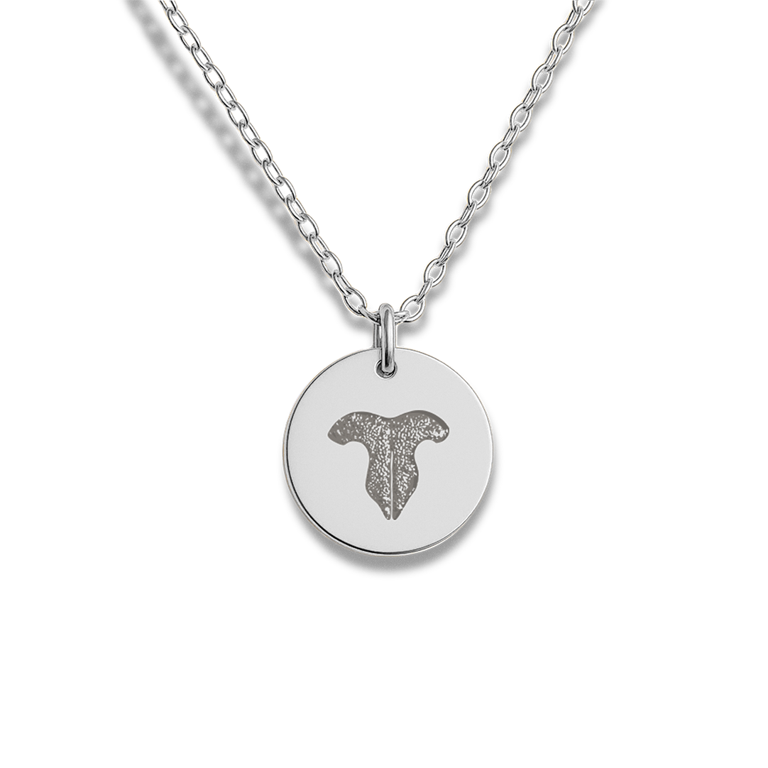 A silver necklace with a round pendant featuring a custom cat nose print.
