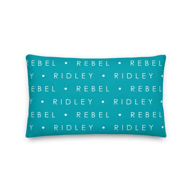 Customized pet paw print pillow measuring 20 by 12 inches for people with multiple pets.