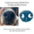 Side-by-side comparison of a dog nose print captured from a photo of dogs nose