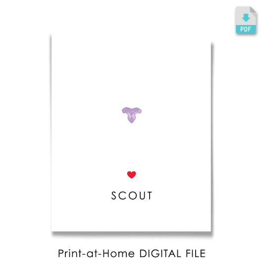 White paper with a purple cat nose print centered. Below it is a small red heart and the name "SCOUT" in bold black text. Minimalist and calm design, pet print keepsake.