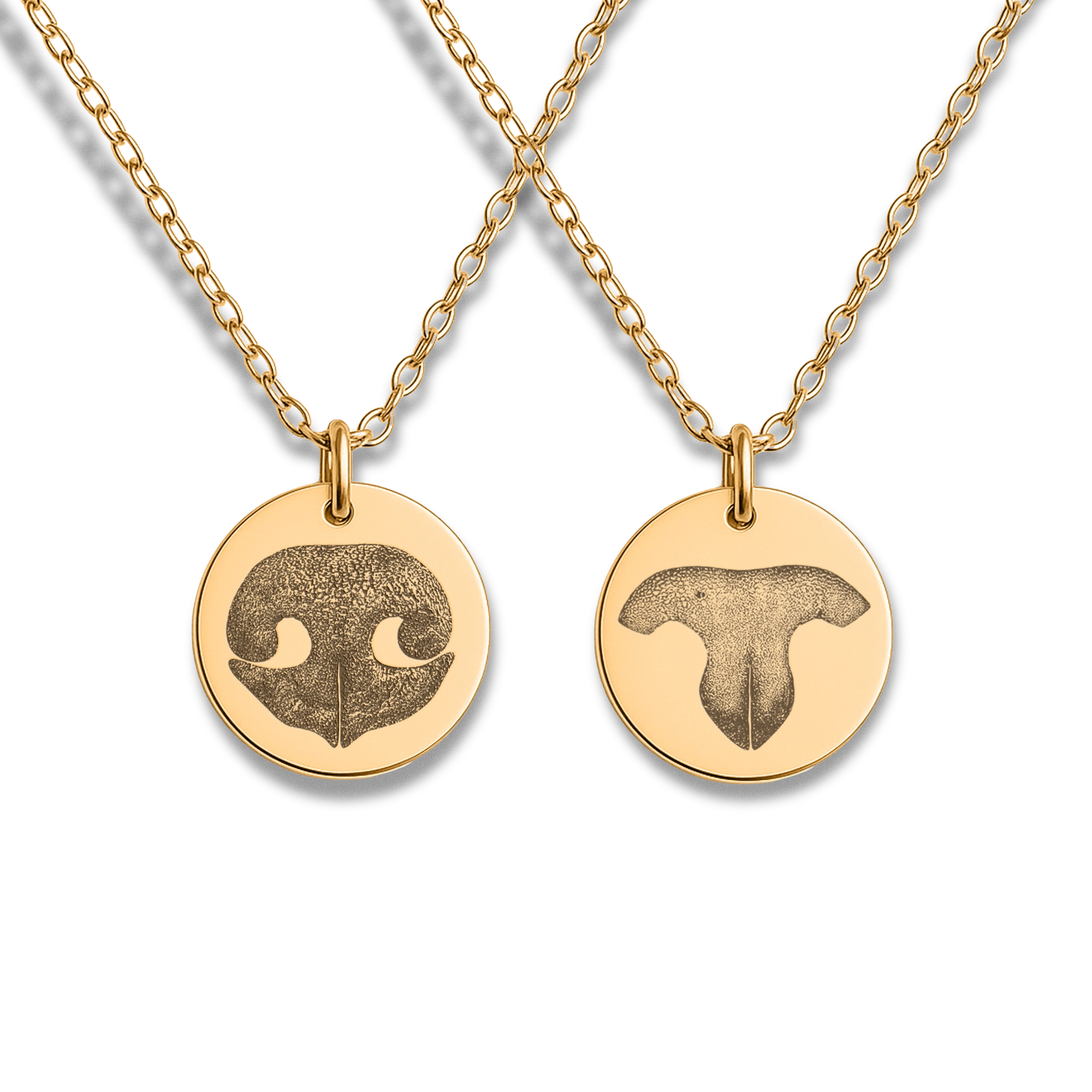 Gold chain necklace with round gold pendant, each side engraved with a pet nose print, one with a dog nose print and the other with a cat nose print, shown on a white background.