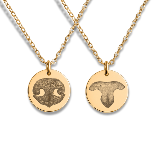 Gold chain necklace with round gold pendant, each side engraved with a pet nose print, one with a dog nose print and the other with a cat nose print, shown on a white background.