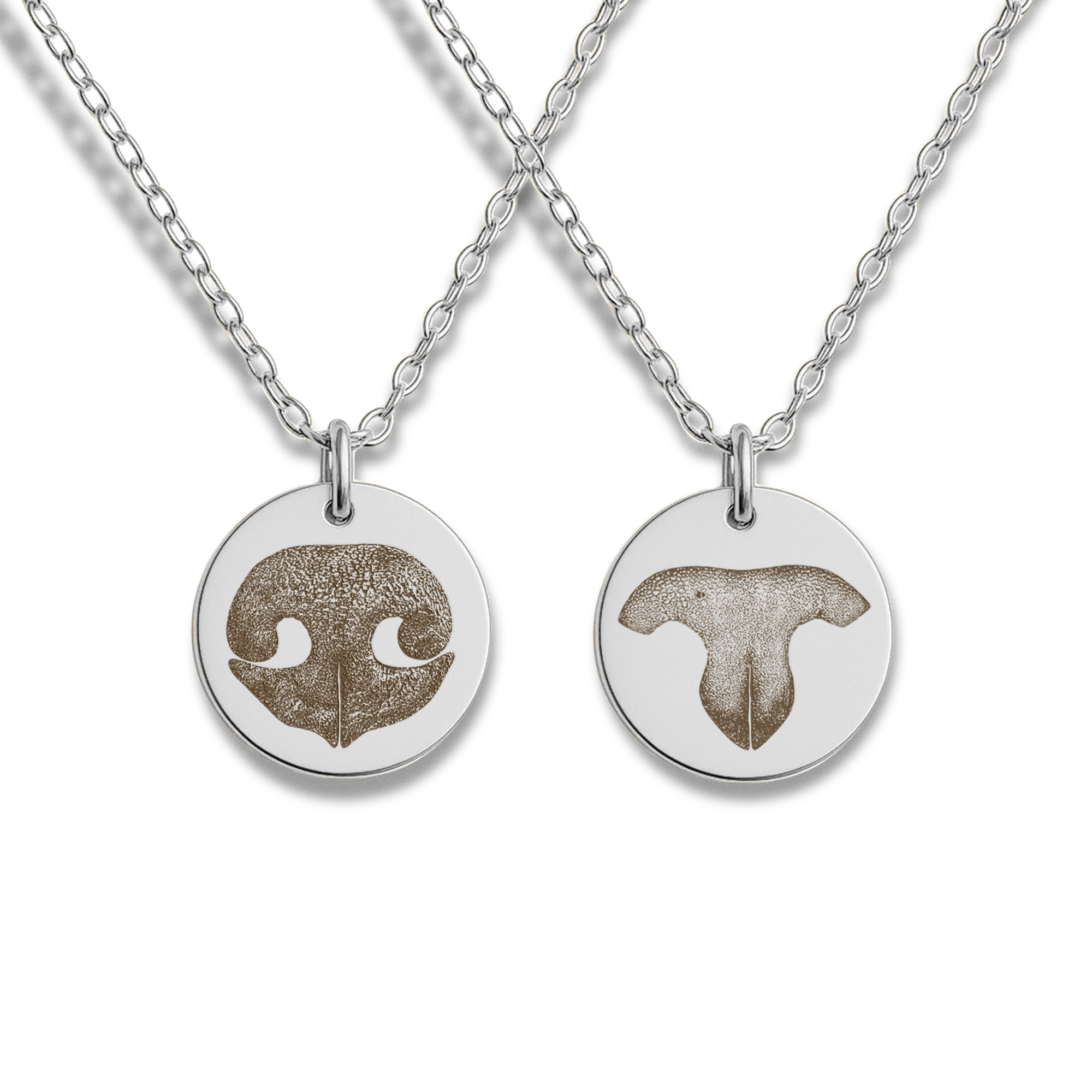 A silver chain necklace with round silver pendant.  The pendant is engraved front and back each with a pet nose print.  One side is a cat nose print and the other is a dog's nose print.
