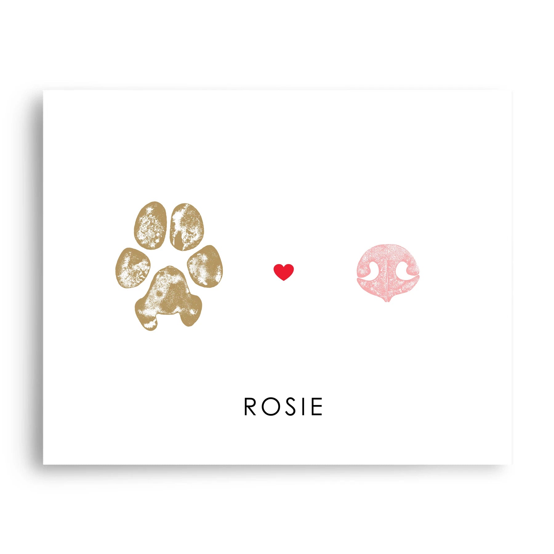 Pet Paw & Nose Print (TEST)