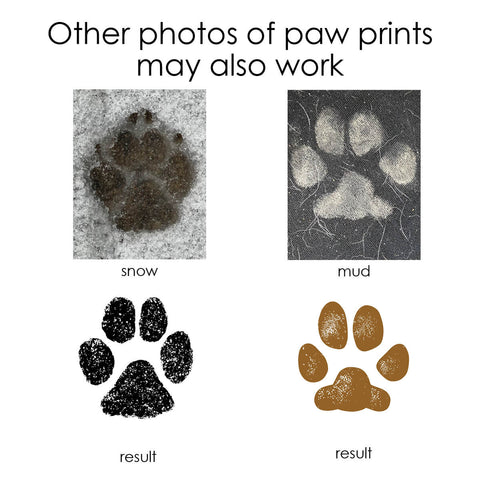 dog paws captured from snow and mud prints