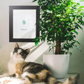 cat sitting on table with paw print artwork and plant