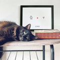 Black cat lying on table in front of cat paw and cat nose print memorial artwork in picture frame