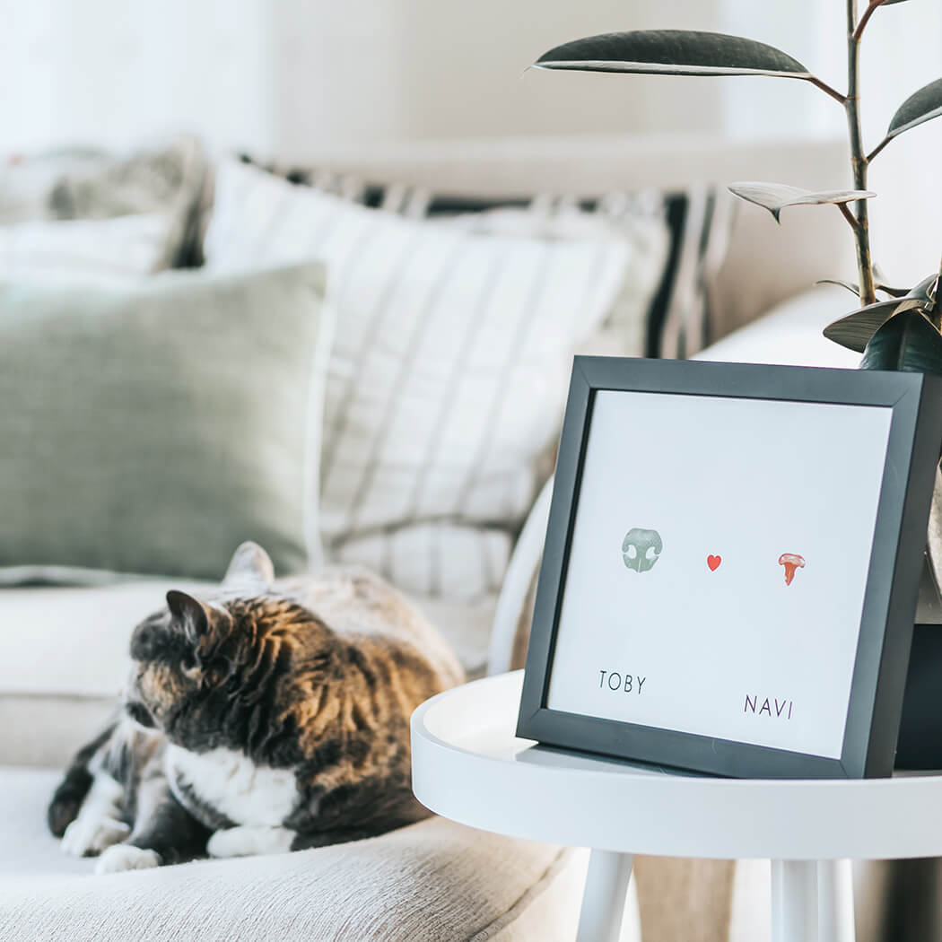 cat sitting on couch in background with framed photo of dog and cat nose prints on table