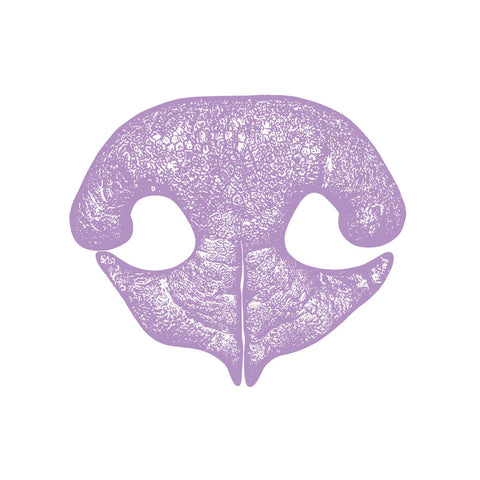 detailed purple dog nose print