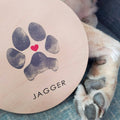close up shot of dog paw next to real dog paw print impression sign keepsake kit