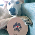brown and white dog sitting on chair with paw holding customized paw print memorial keepsake