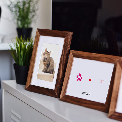  cat memorial display idea with framed picture of border collie next to framed paw and nose print impressions