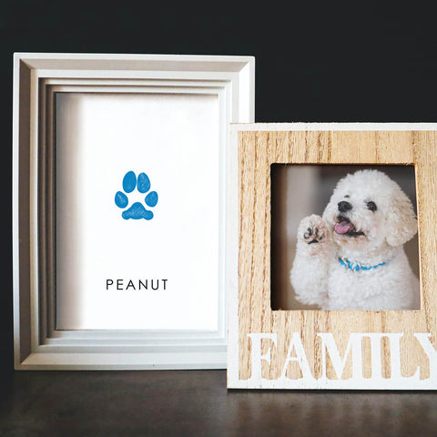 small white poodle mix in family frame next to framed dog paw print in blue