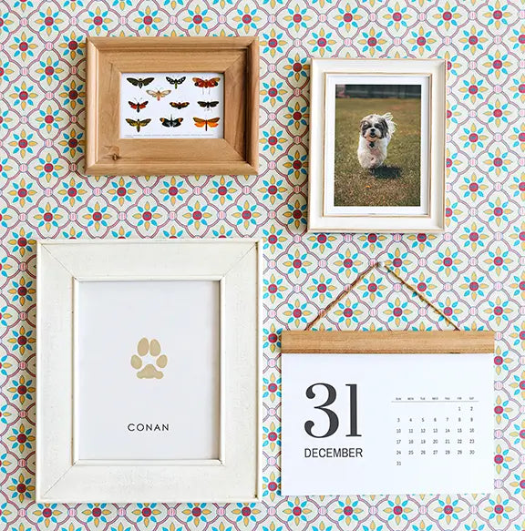 Collage of four items on a colorful patterned wall: a butterfly frame, a dog photo, a dog paw print with name 