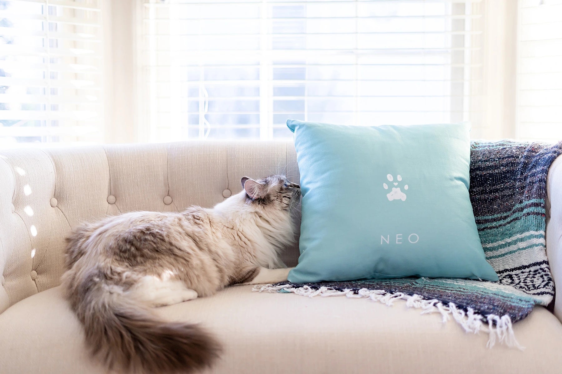 Three circular clay plaques feature one cat paw print and two dog paw prints with ribbons and names.  Next to clay paw print imprints are two printed paw prints. A decorative gold branch is visible.