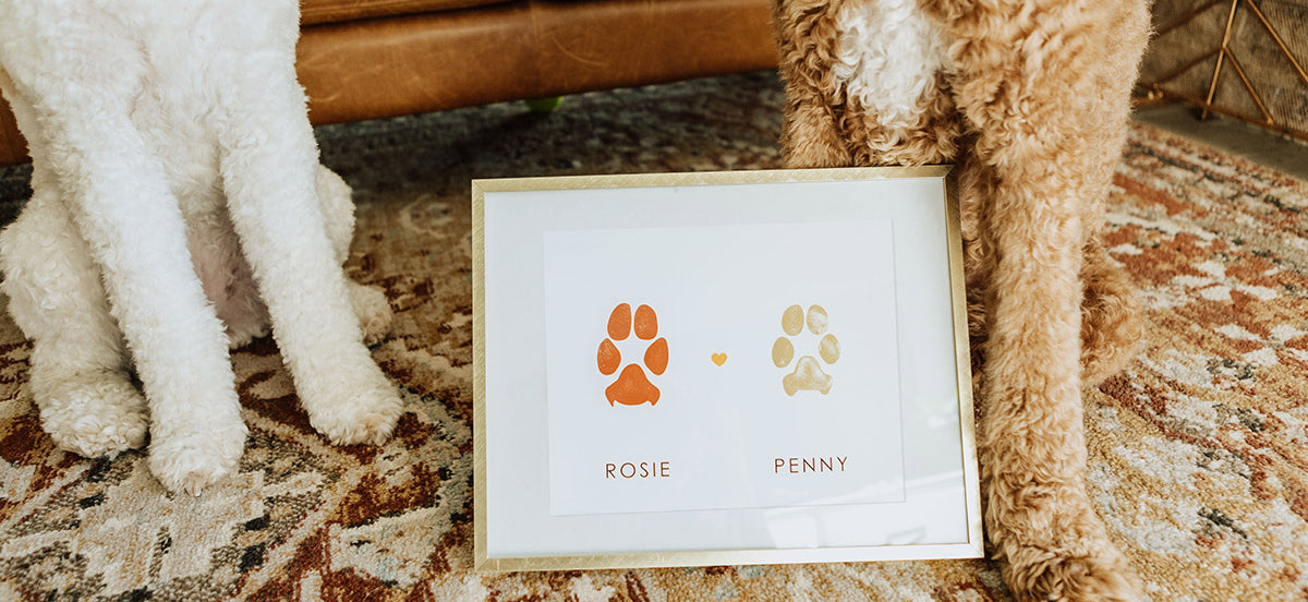 Two dogs sit on a patterned rug, flanking a framed picture of their dog paw prints and pet names 