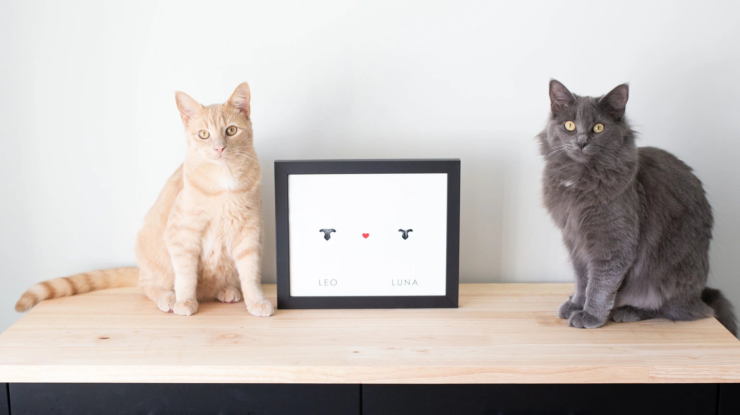 Two cats sit on a wooden cabinet around a framed print with two cat noses with heart in the middle. One cat is orange, the other gray. The scene is calm.