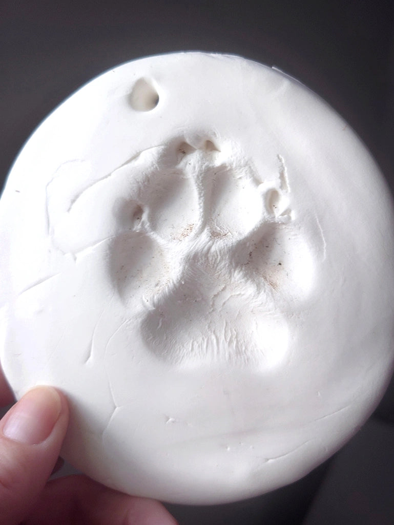 Dog paw print imprinted in white circle.  Circle is a type of air dry foam from a paw print ornament kit.