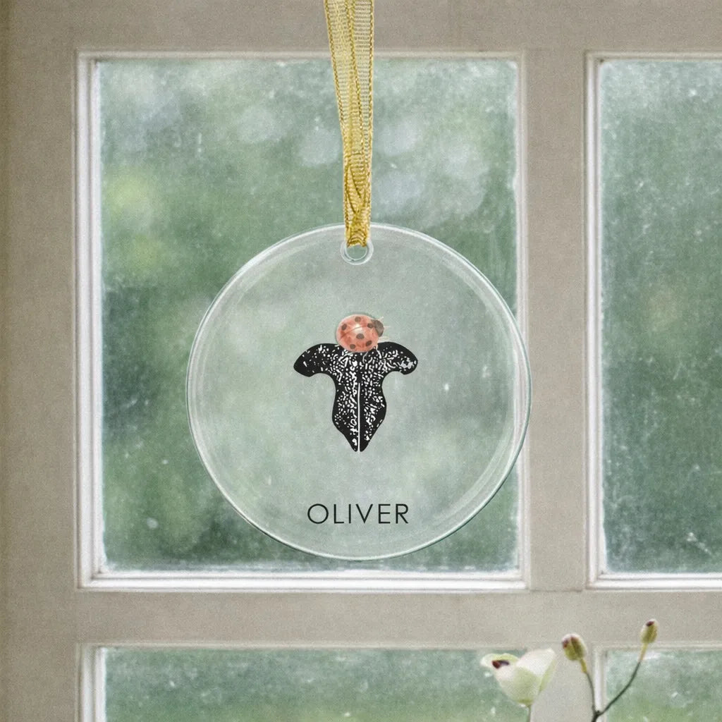 A round glass ornament hangs by a gold ribbon in front of a window. It features a cat nose print and ladybug, with the name "Oliver" below.
