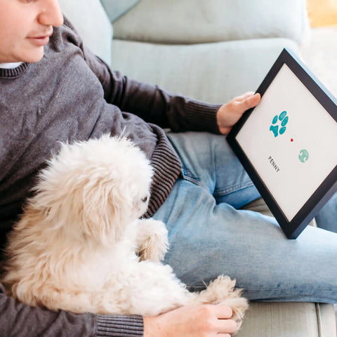 Digital File Paw & Nose Print - Additional Copy - Flutterbye Prints