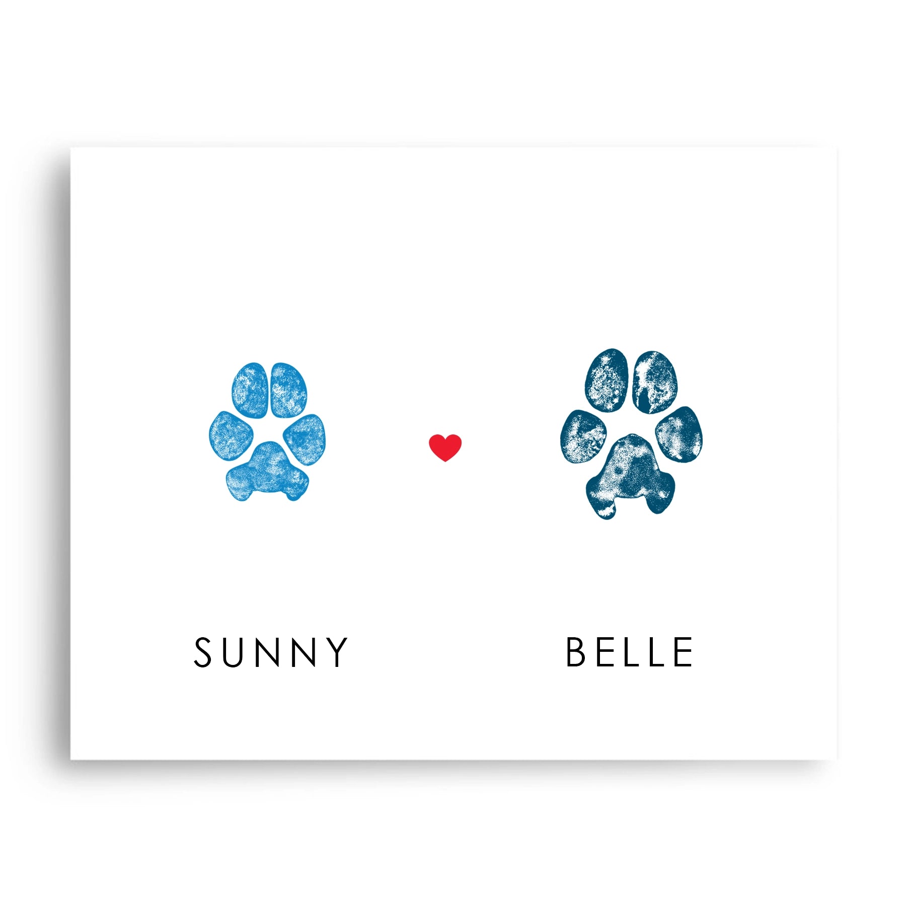 multiple paw prints 2 paws.webp