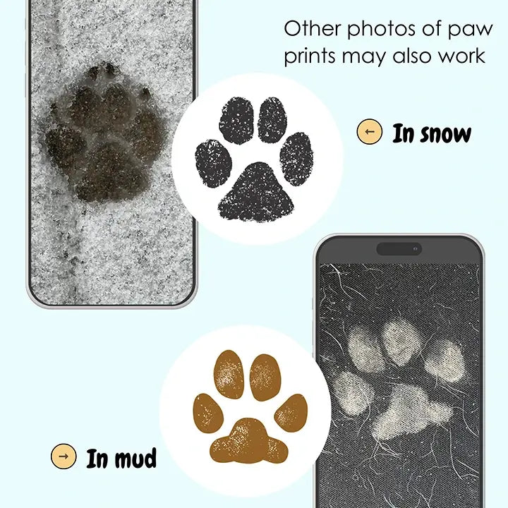 Example of other photos of dog paw prints that can be used to get pet's paw print for keepsake; showing results from paw print in snow and paw print in mud