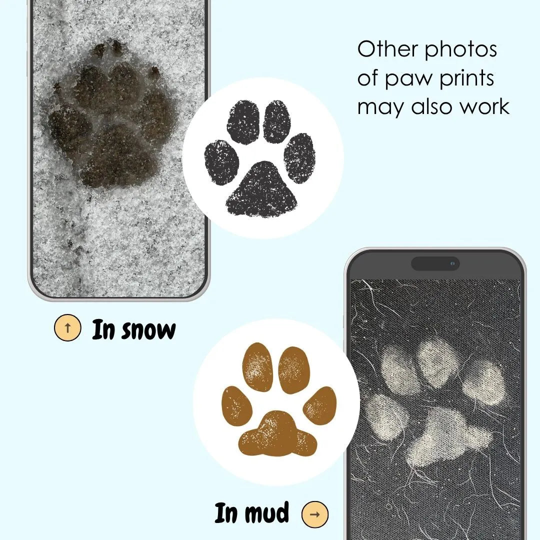 Paaw Print Examples Pet Paw and Nose Print Gift | Both Prints Together - For Dogs, Cats ...