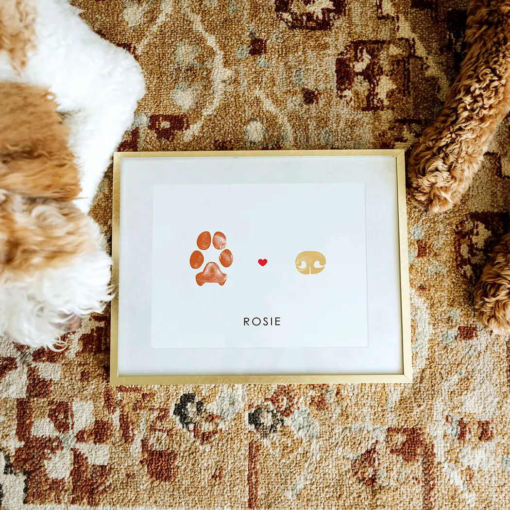 two doodle dogs at edge of frame next to a paw and nose print framed print with orange and tan prints and name Rosie