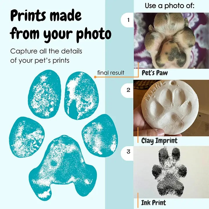 Image showing three methods to create pet paw prints: a photo of a pet's paw, a clay imprint, and an ink print, all resulting in a detailed paw print.