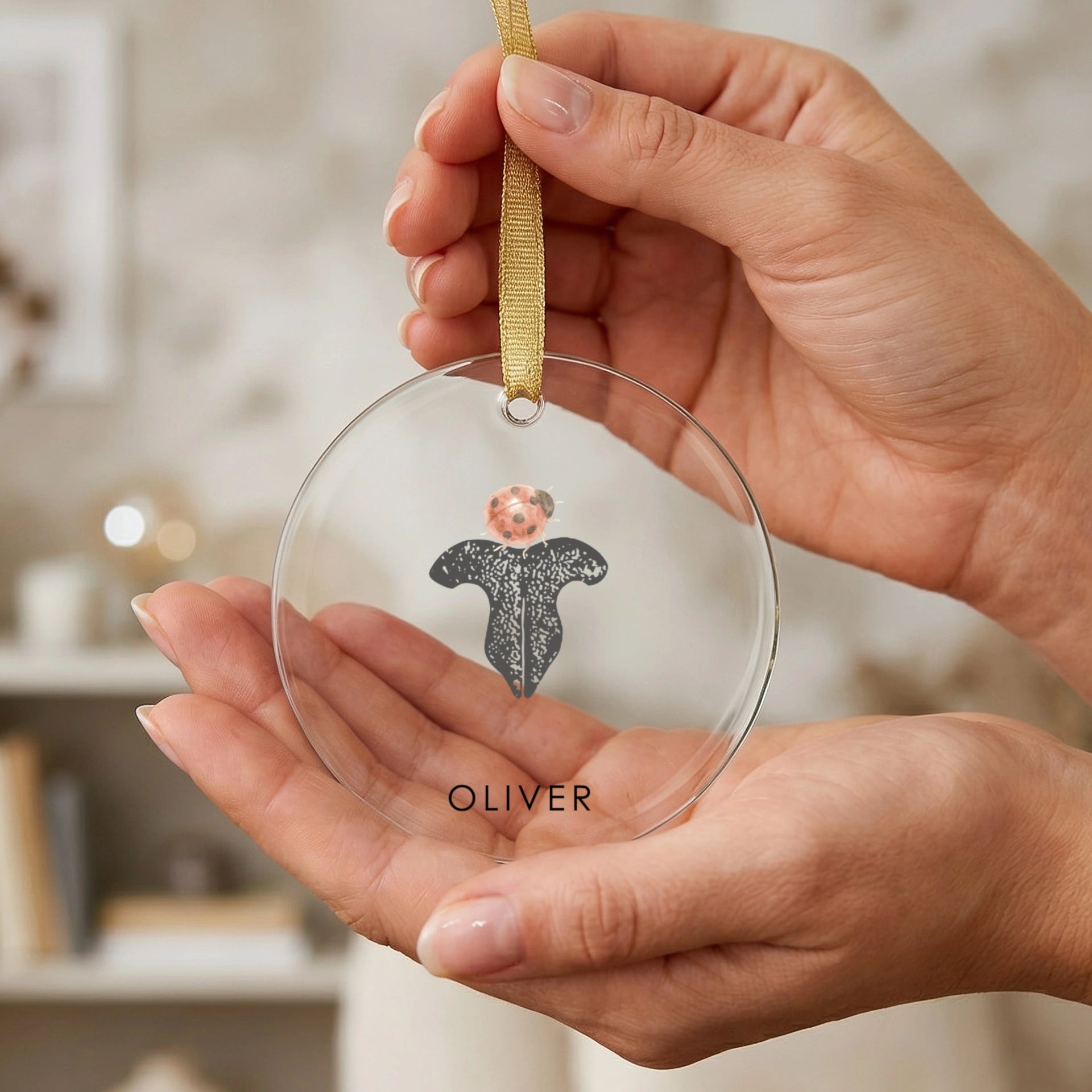 Clear ornament with a cat nose print with a ladybug sitting on top and the name 'OLIVER' held by hands against a blurred indoor background.