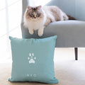 Fluffy white and grey cat sitting on chair above blue personalized pillow with cats paw print and name