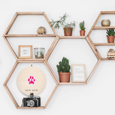 hexagon shelf display with plants and decorations and round wood sign with hot pink cat paw print